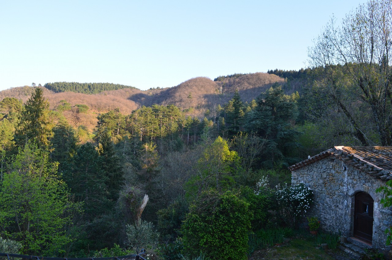 Début de soirée d'été