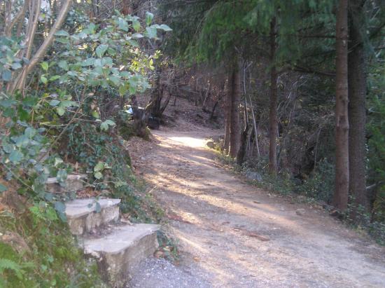 les chemins de La Borie Neuve