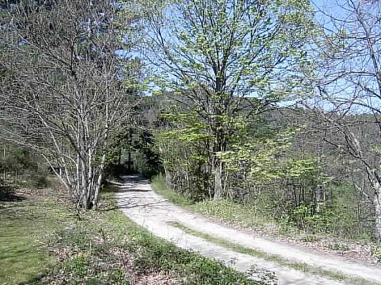 chemin de  la Borie Neuve