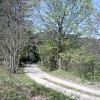 chemin de  la Borie Neuve