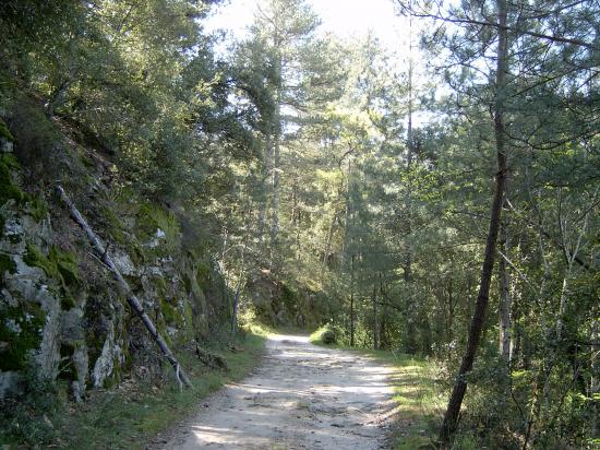 les chemins de la Borie Neuve