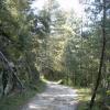 les chemins de la Borie Neuve