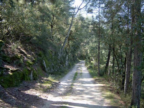 chemin de la Borie Neuve