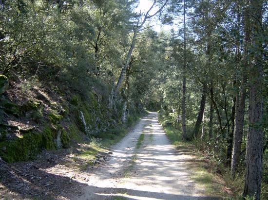 les chemins de la Borie Neuve