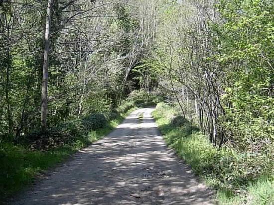 les chemins de la Borie Neuve