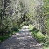 les chemins de la Borie Neuve