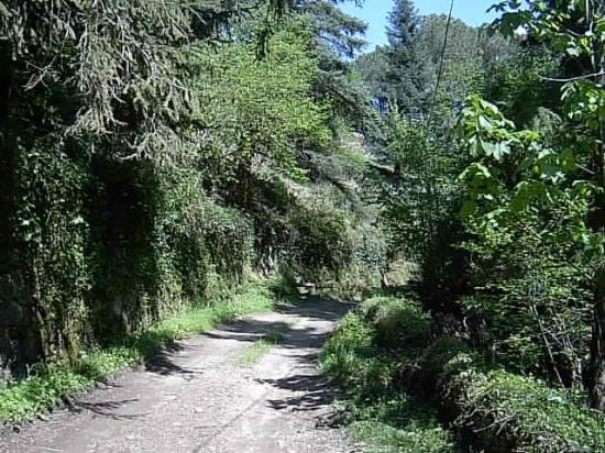 les chemins de la Borie Neuve