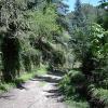 les chemins de la Borie Neuve