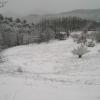 janvier 2010