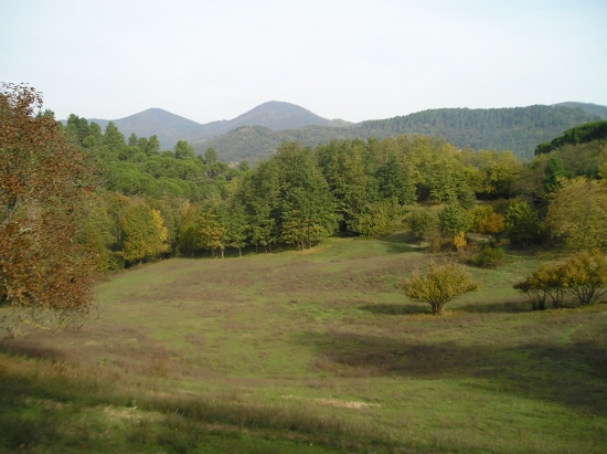 belles couleurs d'automne