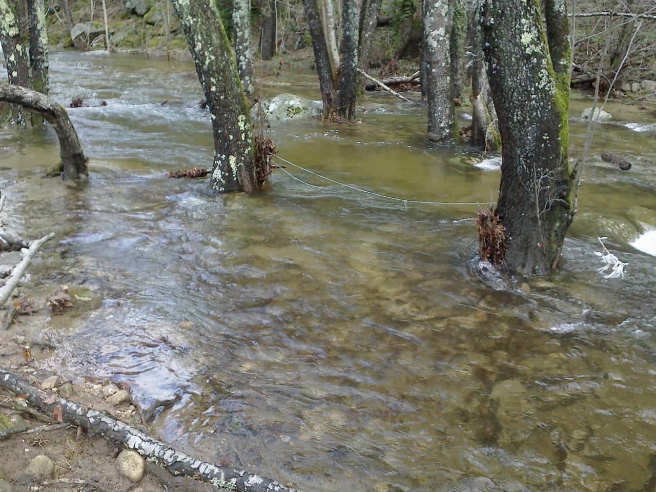 la rivière au printemps