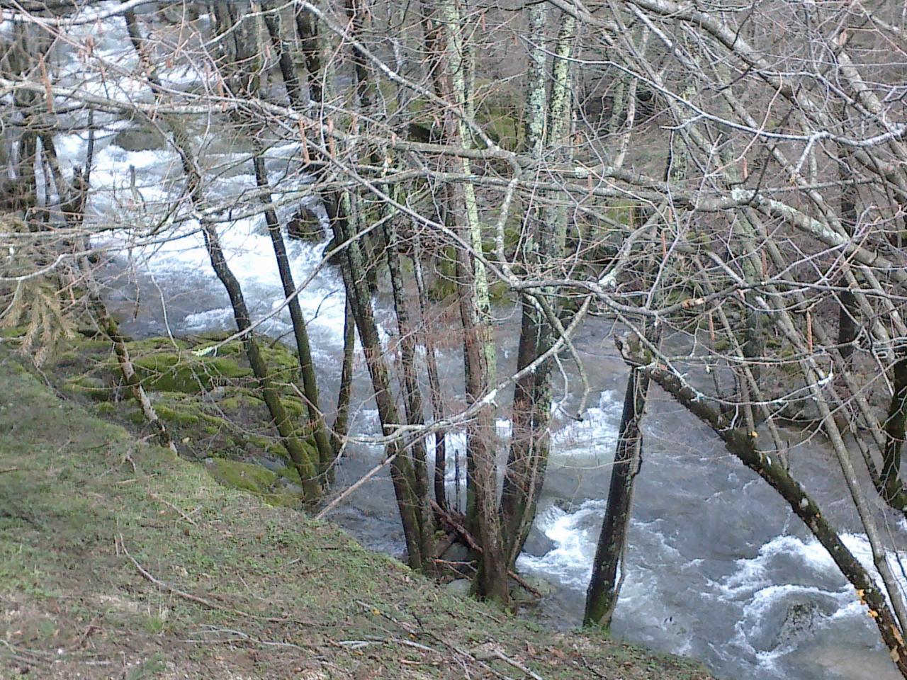 la rivière en automne