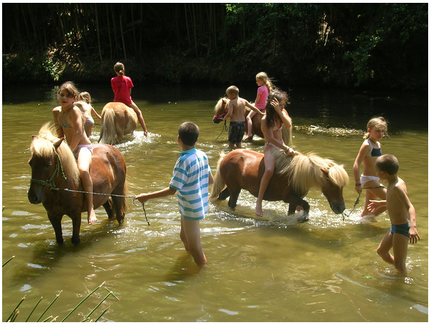 riviére du village avec les poneys