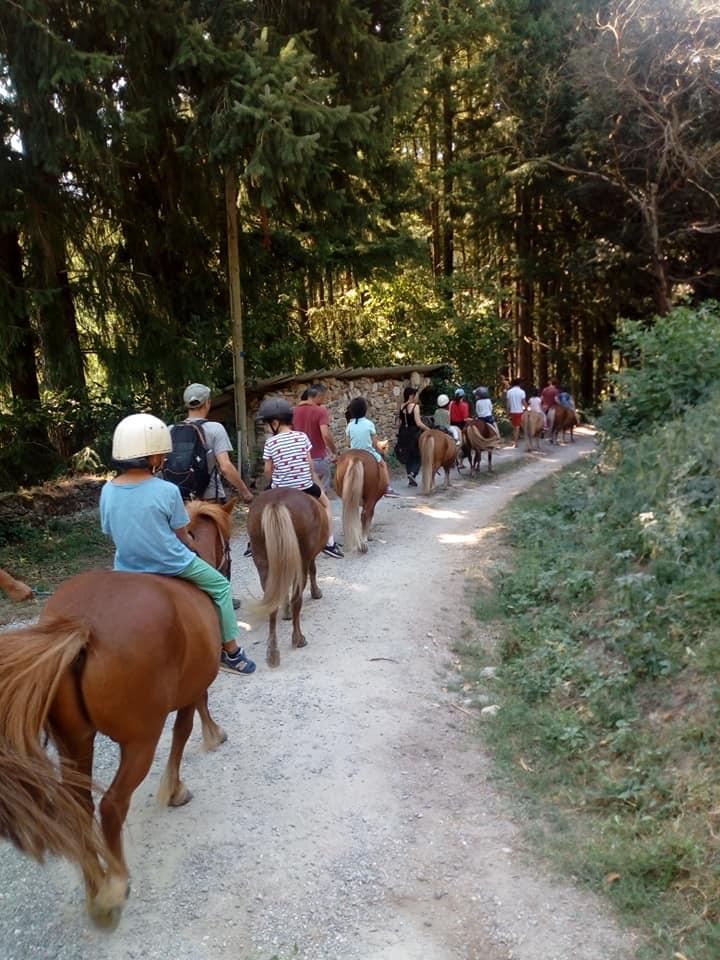 promenade dans le parc ombragé