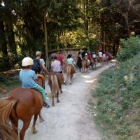 promenade dans le parc ombragé