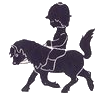 Les Poneys  du Val d'Emeraude  ,  gîte d'enfant , colonie a la ferme , stage equestre, pedagogique, promenade a poney